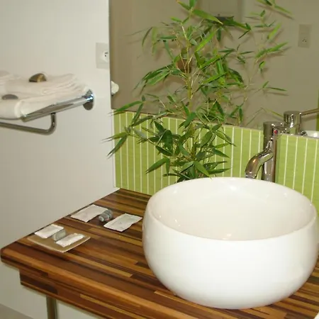 H\u00f4tel La Palmeraie 3* Cornebarrieu