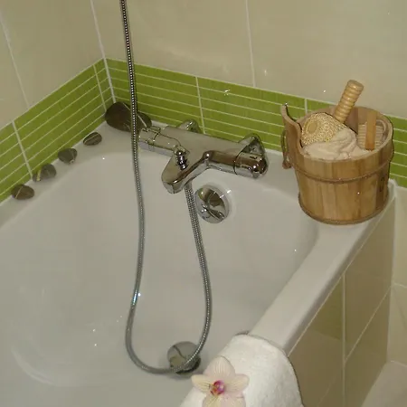 H\u00f4tel La Palmeraie 3* Cornebarrieu