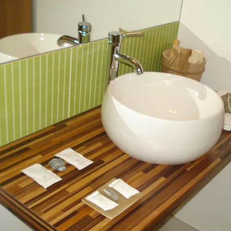 H\u00f4tel La Palmeraie Hotel Cornebarrieu