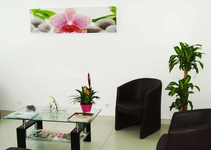 H\u00f4tel La Palmeraie 3* Cornebarrieu