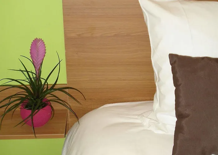 Hotel H\u00f4tel La Palmeraie Cornebarrieu